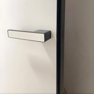 aluminum-wood door