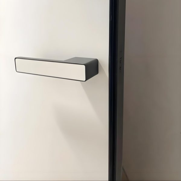 aluminum-wood door